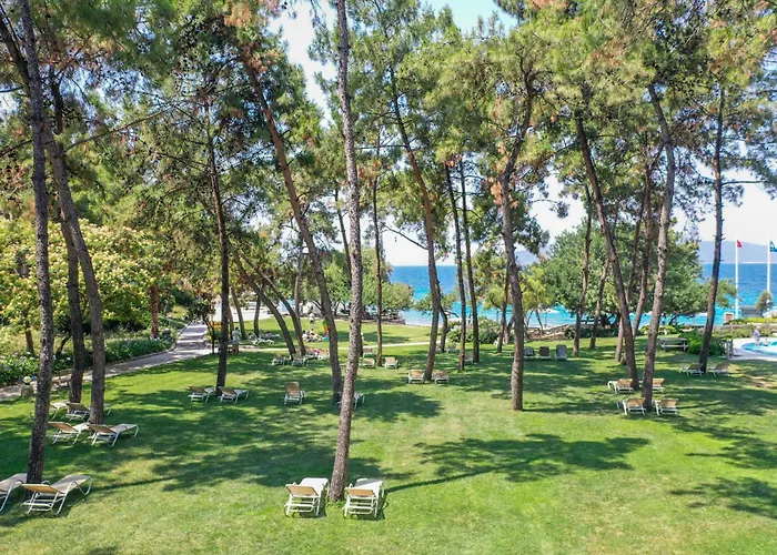 Lägenhetshotell Hapimag Sea Garden 5*